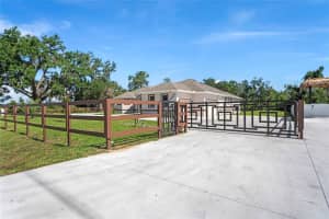 14060 SYDNEY ROAD, DOVER, FL 33527 - MLS#MFRTB8464540