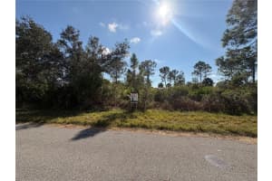 14191 DARWIN AVENUE, PORT CHARLOTTE, FL 33953 - MLS#MFRTB8464570