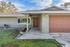 18631 SAN RIO CIRCLE, LUTZ, FL 33549 - MLS#MFRTB8464579