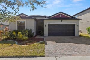 10222 CELTIC ASH DRIVE, RUSKIN, FL 33573 - MLS#MFRTB8464628