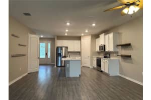 11392 CAY SPRUCE WAY, SAN ANTONIO, FL 33576 - MLS#MFRTB8464658