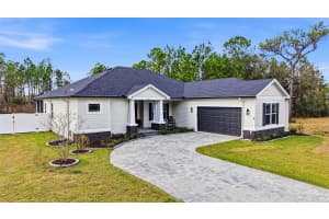 8001 WOODLEAF BOULEVARD, WESLEY CHAPEL, FL 33544 - MLS#MFRTB8464672