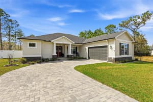 8001 WOODLEAF BOULEVARD, WESLEY CHAPEL, FL 33544 - MLS#MFRTB8464672