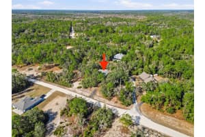 34067 EILER BOULEVARD, WEBSTER, FL 33597 - MLS#MFRTB8464708
