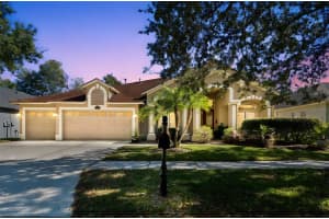 8359 GOLDEN PRAIRIE DRIVE, TAMPA, FL 33647 - MLS#MFRTB8464755