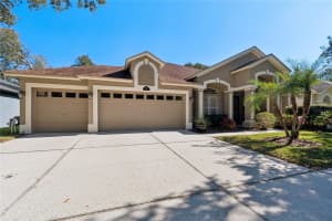 8359 GOLDEN PRAIRIE DRIVE, TAMPA, FL 33647 - MLS#MFRTB8464755