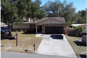 18619 Yocam Ave, LUTZ