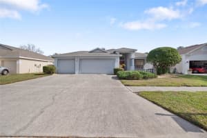 12903 LAKE VENTANA DRIVE, TAMPA, FL 33625 - MLS#MFRTB8464798