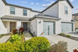 5228 New Friendship Pl, TAMPA