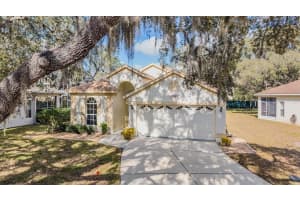 16501 SANDHILL CRANE DRIVE, SPRING HILL, FL 34610 - MLS#MFRTB8464828
