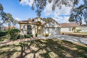 16501 SANDHILL CRANE DRIVE, SPRING HILL, FL 34610 - MLS#MFRTB8464828