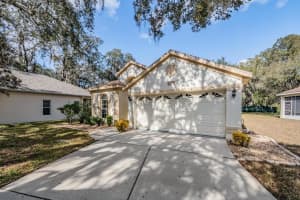 16501 SANDHILL CRANE DRIVE, SPRING HILL, FL 34610 - MLS#MFRTB8464828
