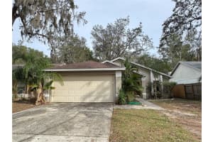 4135 Quail Briar Dr, VALRICO