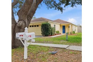 1048 Lake Shore Ranch Dr, SEFFNER