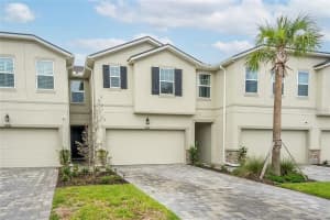 26082 WOVEN WICKER BEND, LUTZ, FL 33559 - MLS#MFRTB8464882