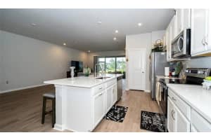 26082 WOVEN WICKER BEND, LUTZ, FL 33559 - MLS#MFRTB8464882