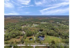 655 APPALOOSA ROAD, TARPON SPRINGS, FL 34688 - MLS#MFRTB8464950