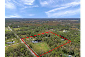 655 APPALOOSA ROAD, TARPON SPRINGS, FL 34688 - MLS#MFRTB8464950