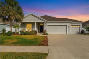 12424 BRICK COBBLESTONE DRIVE, RIVERVIEW, FL 33579 - MLS#MFRTB8464953
