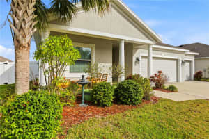 12424 BRICK COBBLESTONE DRIVE, RIVERVIEW, FL 33579 - MLS#MFRTB8464953