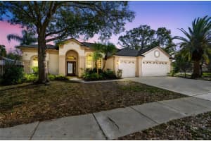 9903 BENNINGTON DRIVE, TAMPA, FL 33626 - MLS#MFRTB8464964