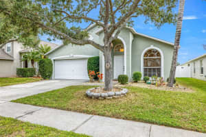 25818 BLOOMSBURY COURT, LAND O LAKES, FL 34639 - MLS#MFRTB8464981
