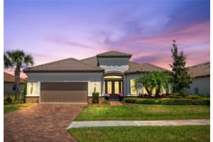 11411 JUGLANS DRIVE, ODESSA, FL 33556 - MLS#MFRTB8464989