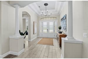 11411 JUGLANS DRIVE, ODESSA, FL 33556 - MLS#MFRTB8464989