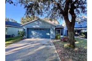 5817 Tanagerlake Rd, LITHIA 5817 Tanagerlake Rd, LITHIA