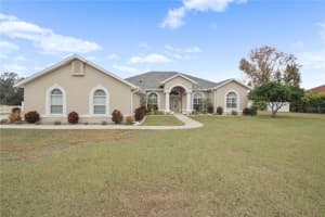 13528 GAVIN ROAD, DOVER, FL 33527 - MLS#MFRTB8465015