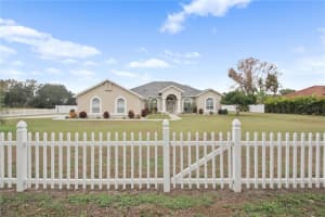 13528 GAVIN ROAD, DOVER, FL 33527 - MLS#MFRTB8465015