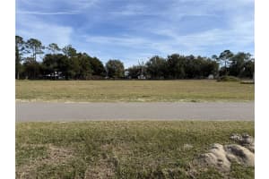 14842 MIM PLACE, DADE CITY, FL 33525 - MLS#MFRTB8465026