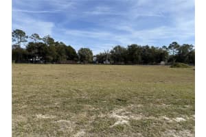 14842 MIM PLACE, DADE CITY, FL 33525 - MLS#MFRTB8465026
