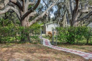 11323 MARJORY AVENUE, TAMPA, FL 33612 - MLS#MFRTB8465078