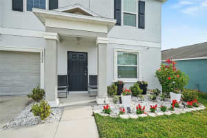 17206 WHITE MANGROVE DRIVE, WIMAUMA, FL 33598 - MLS#MFRTB8465113