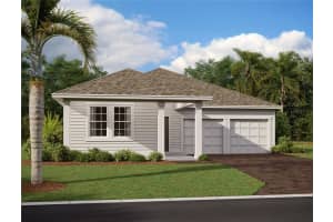 30116 MISTY PINES ROAD, MOUNT DORA, FL 32757 - MLS#MFRTB8465157