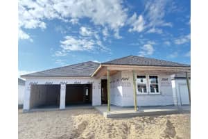 30116 MISTY PINES ROAD, MOUNT DORA, FL 32757 - MLS#MFRTB8465157