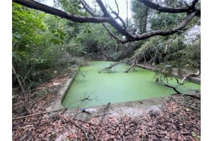 12706 53RD STREET, TEMPLE TERRACE, FL 33617 - MLS#MFRTB8465169