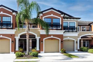 11454 Crowned Sparrow Ln, TAMPA