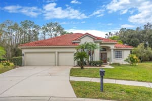6120 CHENE COURT, LUTZ, FL 33558 - MLS#MFRTB8465173