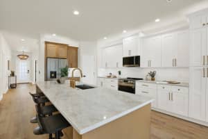 23916 PLANTATION PALMS BOULEVARD, LAND O LAKES, FL 34639 Sold 02/05/26