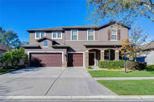 1521 Banner Elk St, VALRICO 1521 Banner Elk St, VALRICO