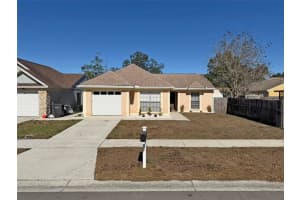 8518 Misty River Ct, TAMPA