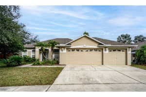19027 DOVE CREEK DRIVE, TAMPA, FL 33647 - MLS#MFRTB8465221