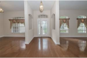 19027 DOVE CREEK DRIVE, TAMPA, FL 33647 - MLS#MFRTB8465221