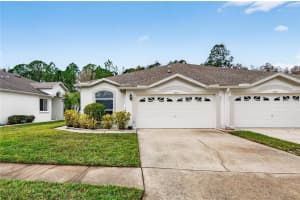 1737 SASSAFRAS DRIVE, WESLEY CHAPEL, FL 33543 - MLS#MFRTB8465239