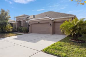20261 RAVENS END DRIVE, TAMPA, FL 33647 - MLS#MFRTB8465267