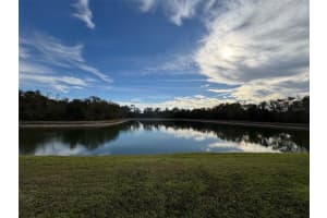 2808 CONCH HOLLOW DRIVE, BRANDON, FL 33511 - MLS#MFRTB8465272