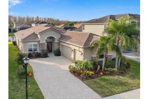 31176 CHESAPEAKE BAY DRIVE, WESLEY CHAPEL, FL 33543 - MLS#MFRTB8465273