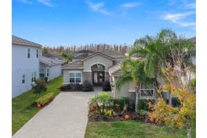 31176 CHESAPEAKE BAY DRIVE, WESLEY CHAPEL, FL 33543 - MLS#MFRTB8465273
